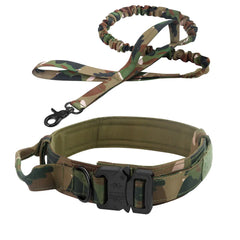 Tactical Dog Leash and Collar